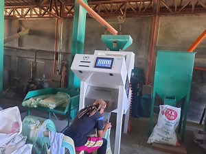 [Hot Item] Mini Scale Wycs1-64 0.75kw Single Phase Optical Rice Color Sorter