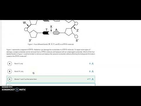 Unit 1 MCQ Progress Check #1