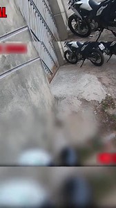 Leilão ? | ROCAM EM AÇÃO