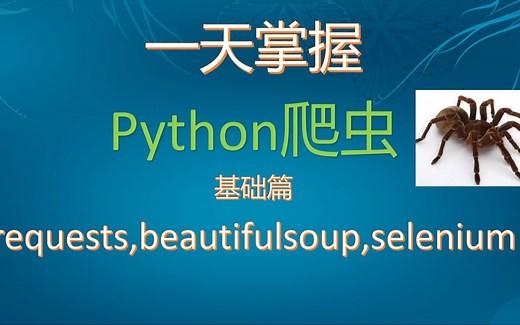 2024 一天掌握python爬虫【基础篇】 涵盖 requests、beautifulsoup、selenium 【无废话版】