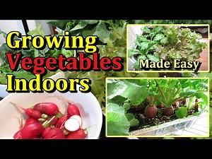 How to Grow & Harvest Vegetables Indoors with Growth Examples (Radishes, Leafy Greens, Peas)