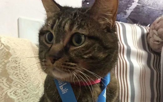 音视频同步测试