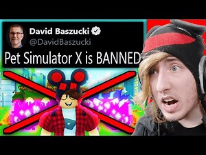 WHY Roblox Deleted Pet Simulator X
