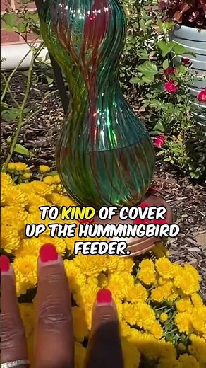 Downsizing Hummingbird Feeders for Fall Migration #shorts