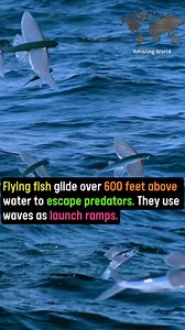 #facts #knowledge #science | Amazing World