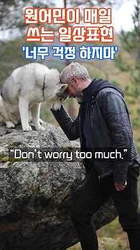 "Don't Worry" Phrases Native Speakers Use Every Day #EnglishForBeginners #EnglishSpeaking #Englis...