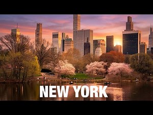 New York City LIVE Manhattan Central Park Cherry Blossoms 2026 Updates (April 1, 2026)