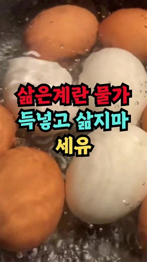 계란 삶는 법: 껍질 쉽게 벗기기 팁