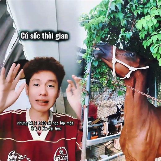 Por favor comparte con tus amigos #pov #herramientas #sketch #gracioso #actuación #historia