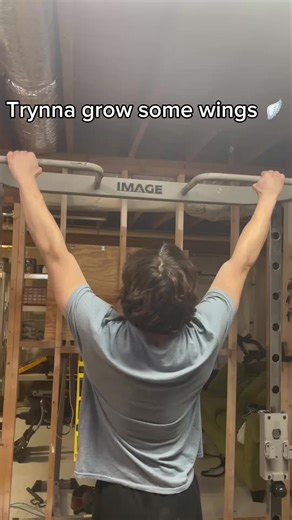 Anyone got tips for a lat spread other than just getting bigger? #homegym #wings #back #fitness