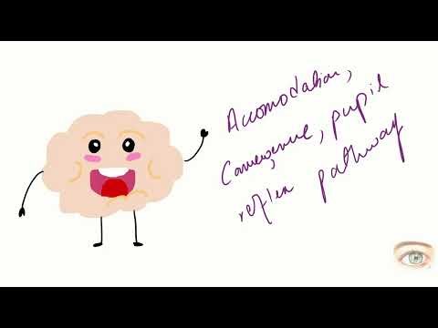 Accommodation, Convergence and Pupillary reflex pathway