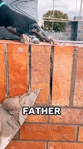 Random Shocking Facts 👀#facts #factsyoudidntknow #curiosity #random #randomfacts #psychology | Random Facts