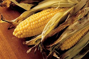 Sweet Corn in Husks  | Veggies Recipes | Weber BBQ