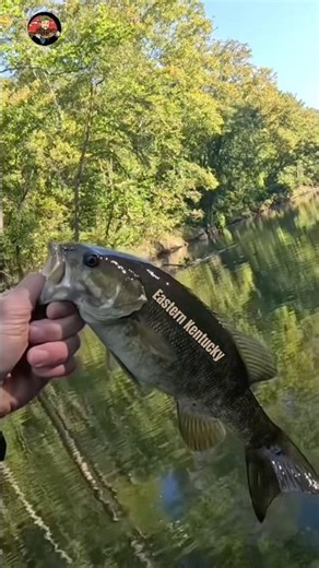 No matter the size a smallmouth is always fun to catch #kayakfishingtips