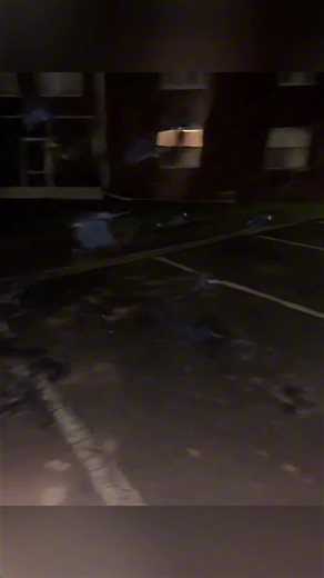 Itachi Uchiha Crows Tutorial: Master the Jutsu