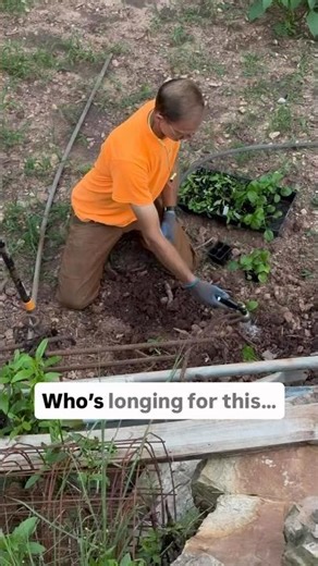 So Ready to GROW STUFF! #getgrowing #gardening #sprouts