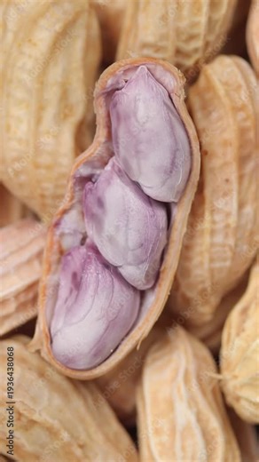Top view of boiled peanut kernels inside an open shell on a whole peanuts in shell. Rotation video