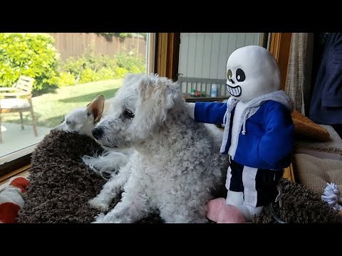 Puppet!Sans but there's no context and he's screaming