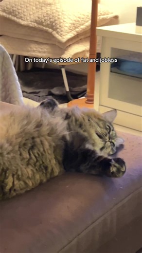 Understanding Emotions in Music: Vitamin String Quartet