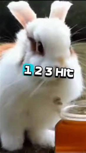 Ryu – Been Doin This 🐰 Easter Bunny Visualizer (Psychedelic Infinite Zoom)