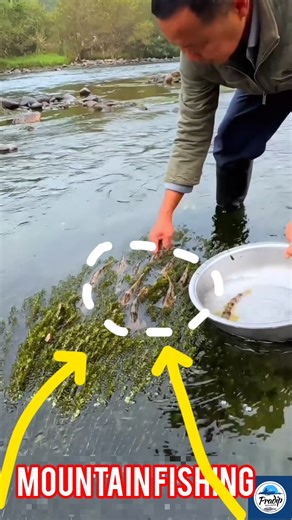 Village Fisherman Catches a Lot of Fish from Mountain Waters 😀#fishing #shortvideo #villagelife🪻🐟🦈