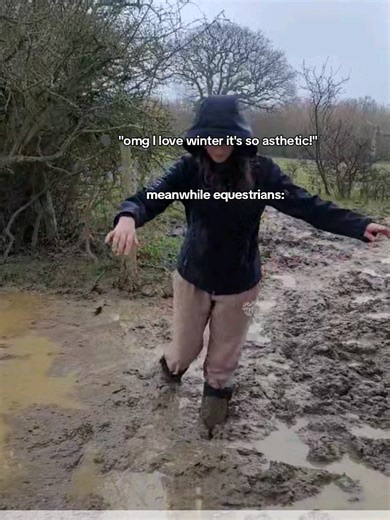 Equestrian Life: Battling Deep Winter Mud