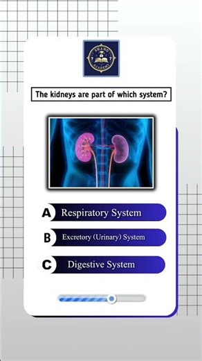 The Kidneys Are Part of Which System? | Human Body Basics #kidneyfunction