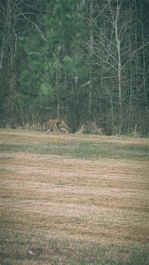 dj_lewis_1 (@dj_lewis_1)’s videos with original sound - dj_lewis_1