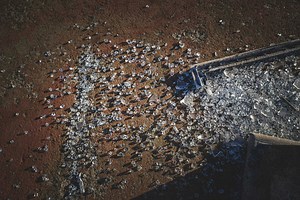 Microplastics Are Dangerous For Humans