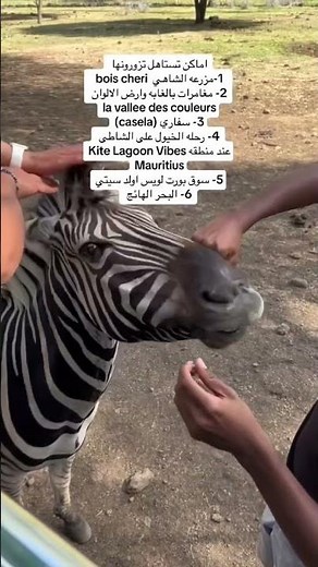 افضل اماكن في موريشيوس