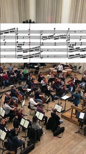 The opening of Beethoven 7 is magic