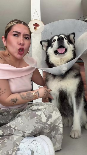 Mía's wounds and the cone saga