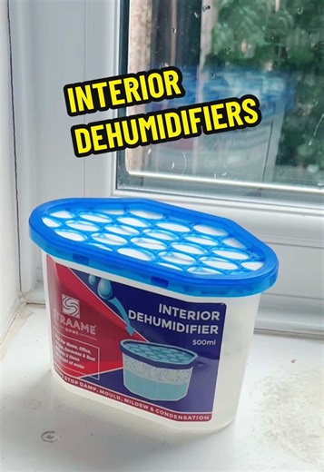 Windows covered in moisture, means you need a dehumidifier #dehumidifier #dehumidifiers #interiordehumidifier #mould #tiktokmademebuyit