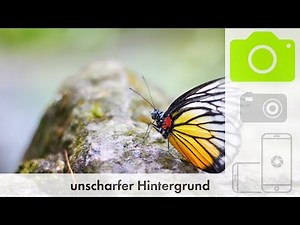 FOTOGRAFIEREN LERNEN | Unscharfer Hintergrund / Freistellung