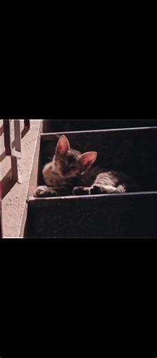 دستک دینا مرد کی فطرت ہے دستک دینا مرد کی فطرت ہےاور دروازہ نہ کھولنا عورت کا حسن ....!! ہر دستک پر دروازہ کبھی نہیں کھولنا، نہ دل کا دروازہ، نہ دماغ کا دروازہ، نہ سوچوں کا دروازہ، نہ جذبات کا دروازہ، یہ دروازہ زندگی کے اصل ساتھی کی آمد پر ہی کھلنا چاہیئے۔ کبھی بھی کسی اجنبی کو اپنا ذاتی وقت نہ دینا ایک وقت آۓ گا وہ آپکے کردار پر انگلی اٹھاۓ گا آپکو ذہنی ٹینشن دے گا۔ سو فاٸنل بات یہ کہ ہر ایک کے ساتھ ایک لمٹ میں رابطہ رکھیں اس سے آپ خود بھی محفوظ رہو گی اور آپکا ذہنی سکون بھی۔ کسی کو پسند کرنا ا