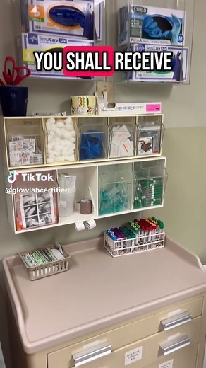 Lab Assistant Duties: A Day in Their Life Explained