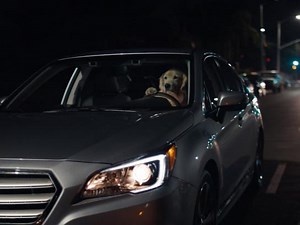 Subaru: Dog tested • Ads of the World™ | Part of The Clio Network