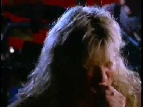 Def Leppard - Animal (LYRICS + FULL SONG)