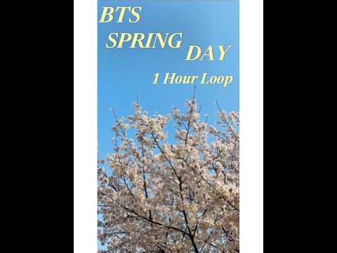 BTS - 봄날 (Spring Day) 1시간 무한 듣기. 1 Hour Loop