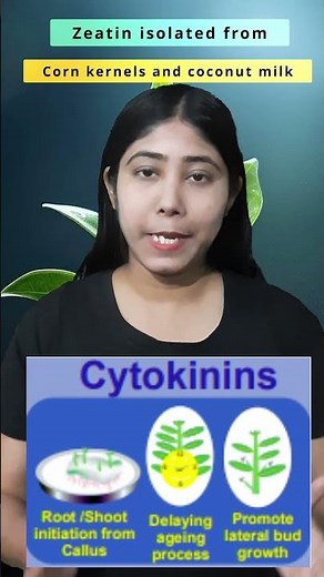 Cytokinin | Definition & Physiological Effect | Plant Growth Hormone | Biology | Class11| Adhyayanta