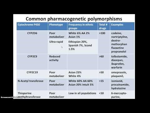 genetic polymorphisms and drug metabolism
