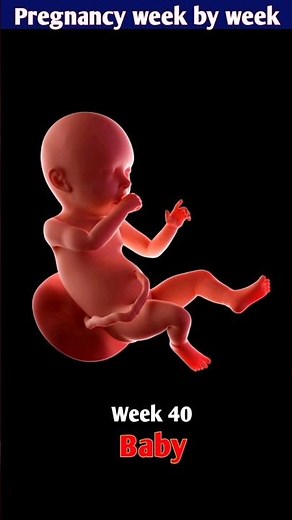 Baby Growth Week by Week During Pregnancy, A Miracle of Life Baby Development #pregnancy #shorts