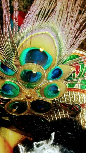 #krishna #indreshji #premanandjimaharaj #shorts