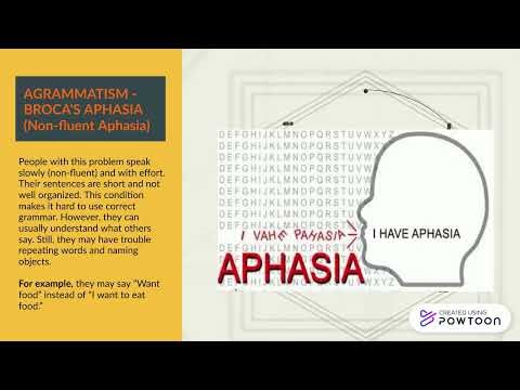 PARAGRAMMATISM AND AGRAMMATISM