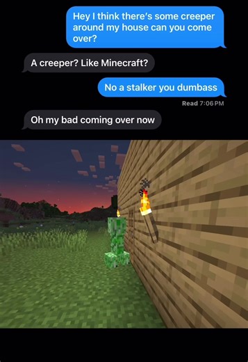 #minecraft #fyp #minecraftmemes
