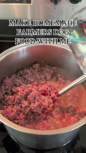 Make homemade “Farmers Dog” food with me for my two pups! This is supposed to be a weeks worth of food…. I will keep you posted on the taste test and freezer bag packing process. #homemadedogfood #germanshepherd #pitbull #moneysavingtips