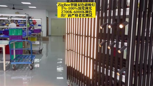 典为涂鸦zigbee智能调光调色磁吸泛光灯 FG20 GDD20