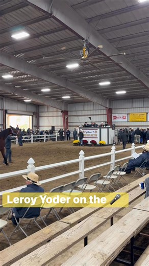 Leroy Yoder on the 🎤 selling horses. | AuctionPro