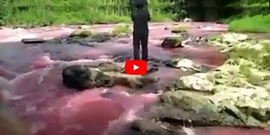 Nehir'den oluk oluk Müslüman kanı akıyor