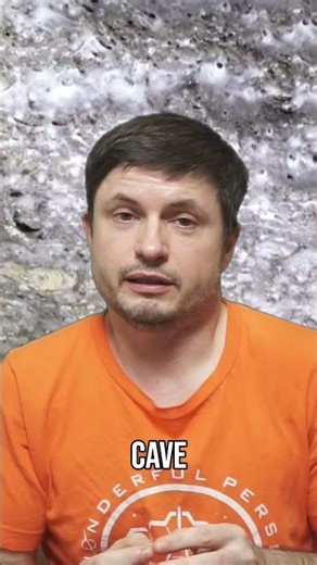 World's Largest Spider Web Colony Discovered!